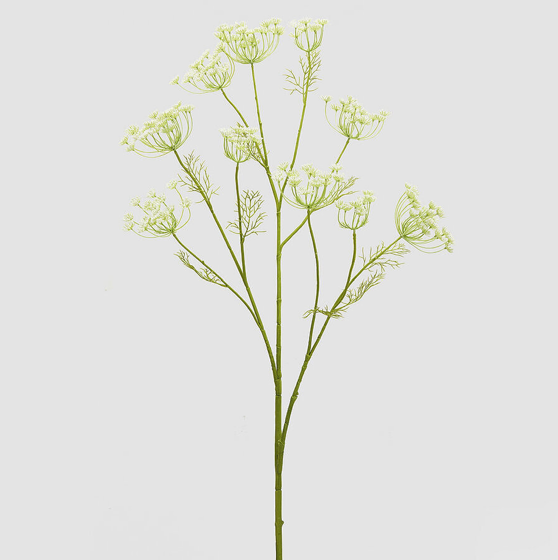 Branch