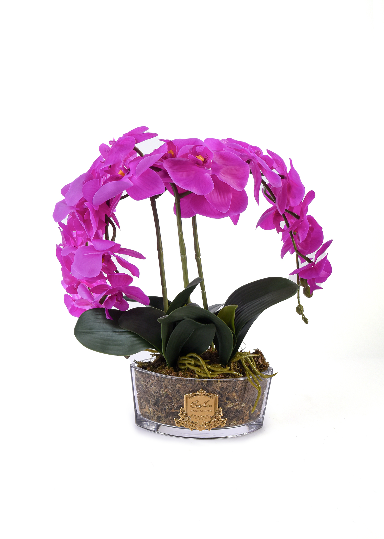 Oval Orchid Purple